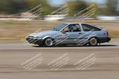 media/Oct-04-2025-OnGrid (Sat) [[44bd565ffa]]/Purple Group/Grapevine/